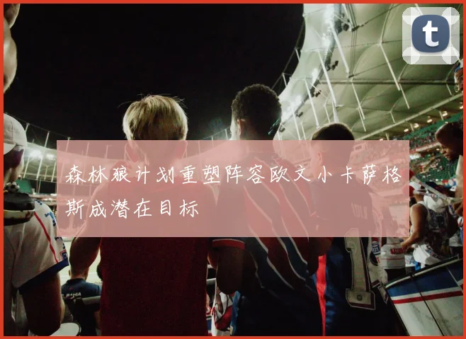 森林狼计划重塑阵容欧文小卡萨格斯成潜在目标